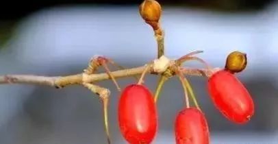 吉祥如意養生舞教學_吉祥如意健身養生舞背向_吉祥如意健身養生